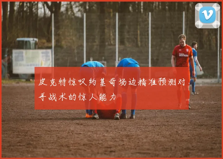 皮克特惊叹约基奇场边精准预测对手战术的惊人能力
